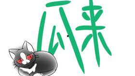 用塔罗牌吃瓜,吃瓜群众的神秘占卜之旅 第1张 用塔罗牌吃瓜,吃瓜群众的神秘占卜之旅 第1张